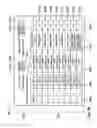 Fig. 21 - Apparatus and system for processing currency bills and financial documents and method for using the same