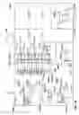 Fig. 31 - Apparatus and system for processing currency bills and financial documents and method for using the same