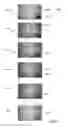 Fig. 07 - Method and apparatus for identifying a desired object of an image using a suggestive marking