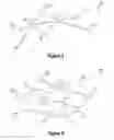 Fig. 10 - Weighted cognitive personas and profiles