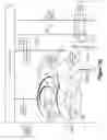 Fig. 12 - Weighted cognitive personas and profiles