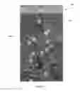 Fig. 09 - DELIVERY TO MOBILE DEVICES