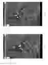 Fig. 12 - DELIVERY TO MOBILE DEVICES