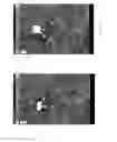 Fig. 13 - DELIVERY TO MOBILE DEVICES