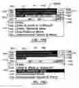 Fig. 65 - PROXIMITY-BASED INFORMATION AND AREA OF RELEVANCE