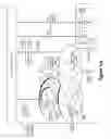 Fig. 12 - Cognitive Media Advertising