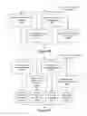 Fig. 05 - Updating Weights of Edges of a Social Graph Based on Sharing Activity of Users of the Open Web