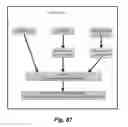 Fig. 89 - Specially programmed computer processors and methods of use thereof