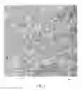 Fig. 04 - System and method for differentiating type of vegetation from remotely sensed data