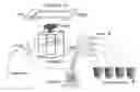 Fig. 01 - System and method for counting zooplankton