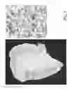 Fig. 05 - MEDICAL IMAGE PROCESSING