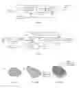 Fig. 03 - Edit guided processing method for time-lapse image analysis