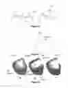 Fig. 04 - Computer implemented methods for identifying channels in a 3D volume and computer program product implementing the methods