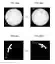 Fig. 09 - METHOD AND APPARATUS FOR SENSING MOVING BALL, AND IMAGE PROCESSING METHOD OF BALL IMAGE FOR CALCULATION OF SPIN OF MOVING BALL
