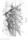 Fig. 19 - Creating a topological map for localization in augmented or virtual reality systems
