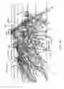 Fig. 19 - UTILIZING TOPOLOGICAL MAPS FOR AUGMENTED OR VIRTUAL REALITY