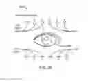Fig. 27 - UTILIZING TOPOLOGICAL MAPS FOR AUGMENTED OR VIRTUAL REALITY