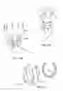Fig. 32 - UTILIZING TOPOLOGICAL MAPS FOR AUGMENTED OR VIRTUAL REALITY