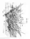 Fig. 19 - Finding new points by render rather than search in augmented or virtual reality systems