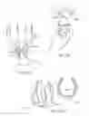 Fig. 32 - Finding new points by render rather than search in augmented or virtual reality systems