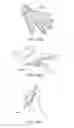 Fig. 35 - Finding new points by render rather than search in augmented or virtual reality systems