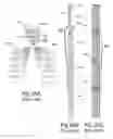 Fig. 26 - Modularized lighting display system
