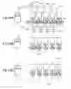 Fig. 45 - Modularized lighting display system
