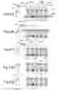 Fig. 47 - Modularized lighting display system