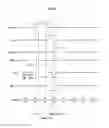Fig. 03 - Organic light emitting display having shared scan lines