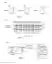 Fig. 03 - Methods, devices and systems using over-reset state in a memory cell