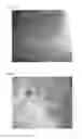 Fig. 03 - COPPER ALLOY FOR ELECTRIC AND ELECTRONIC DEVICE, COPPER ALLOY SHEET FOR ELECTRIC AND ELECTRONIC DEVICE, METHOD OF PRODUCING COPPER ALLOY FOR ELECTRIC AND ELECTRONIC DEVICE, CONDUCTIVE COMPONENT FOR ELECTRIC AND ELECTRONIC DEVICE, AND TERMINAL