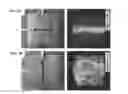 Fig. 04 - Stretchable conductive composites for use in soft devices