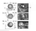 Fig. 08 - Stretchable conductive composites for use in soft devices