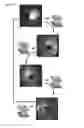 Fig. 18 - Stretchable conductive composites for use in soft devices
