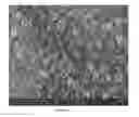 Fig. 13 - Superconductor and method for superconductor manufacturing