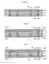 Fig. 06 - Package substrate