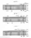 Fig. 08 - Package substrate