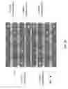 Fig. 12 - Radio frequency and microwave devices and methods of use