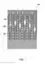 Fig. 02 - Method for filling polysilicon gate in semiconductor devices, and semiconductor devices