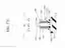 Fig. 228 - SURROUNDING GATE TRANSISTOR (SGT) STRUCTURE