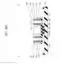 Fig. 231 - SURROUNDING GATE TRANSISTOR (SGT) STRUCTURE
