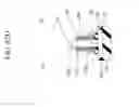 Fig. 249 - SURROUNDING GATE TRANSISTOR (SGT) STRUCTURE