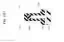 Fig. 65 - SURROUNDING GATE TRANSISTOR (SGT) STRUCTURE