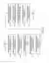 Fig. 22 - Replacement metal gate including dielectric gate material