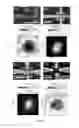 Fig. 06 - Method and Apparatus for High Resolution Photon Detection based on Extraordinary Optoconductance (EOC) Effects