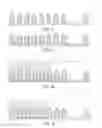 Fig. 06 - Nanowire structure and method for manufacturing the same