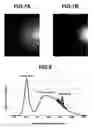 Fig. 05 - LIGHT EMITTING DEVICE