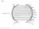 Fig. 07 - Light emitting device