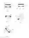 Fig. 09 - Engineered-phosphor LED packages and related methods