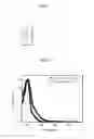 Fig. 02 - Antiaromatic compounds and organic light-emitting devices comprising the same